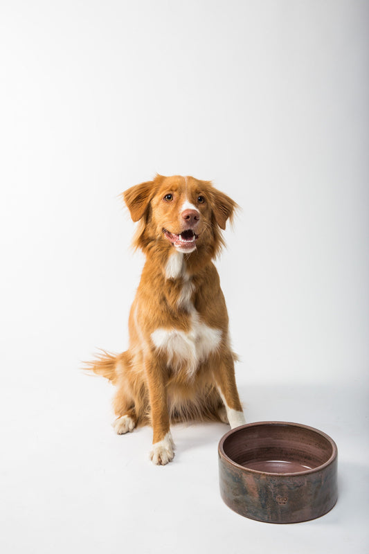 Photo by <a href="https://unsplash.com/fr/@theflouffy?utm_source=unsplash&utm_medium=referral&utm_content=creditCopyText">FLOUFFY</a> on <a href="https://unsplash.com/photos/-dMO9Dm-gkU?utm_source=unsplash&utm_medium=referral&utm_content=creditCopyText">U
