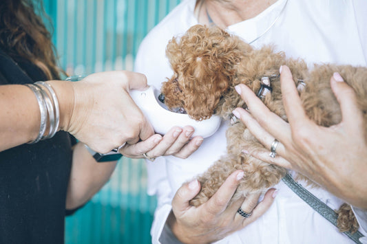 Photo by <a href="https://unsplash.com/fr/@theflouffy?utm_source=unsplash&utm_medium=referral&utm_content=creditCopyText">FLOUFFY</a> on <a href="https://unsplash.com/photos/VW2HGWgtIfw?utm_source=unsplash&utm_medium=referral&utm_content=creditCopyText">U