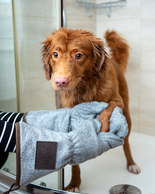 Pet WipesI Pet Health Pros