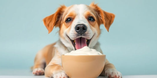 Dog eating yogurt, symbolizing health benefits for pets.