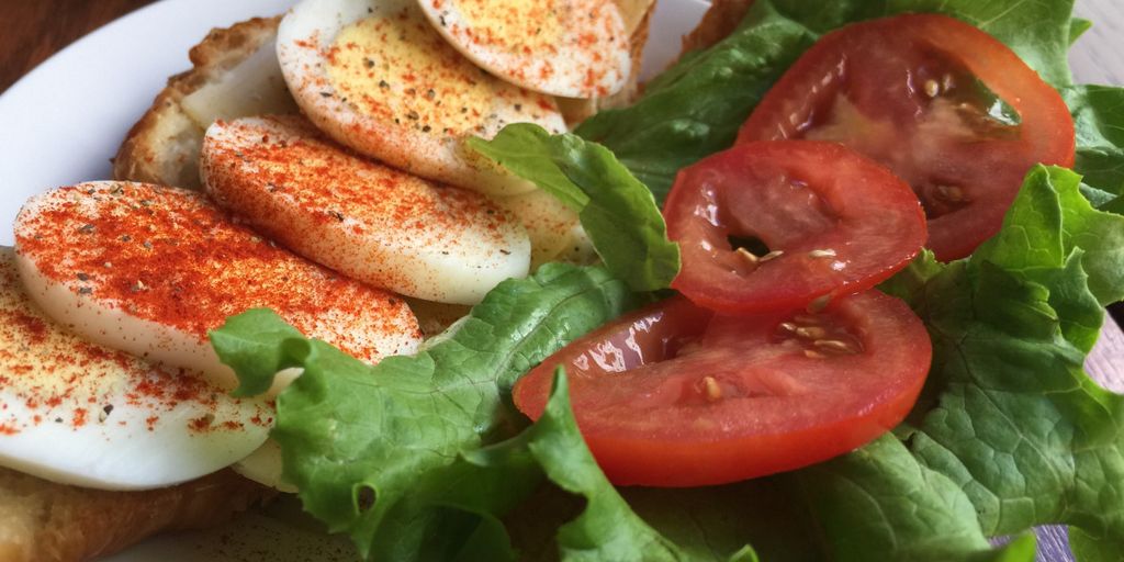 Exploring Holistic Nutrition for Dogs: Benefits and Tips – Pet Health Pros - Holistic Diet Needed For Hypothyroid Dogs