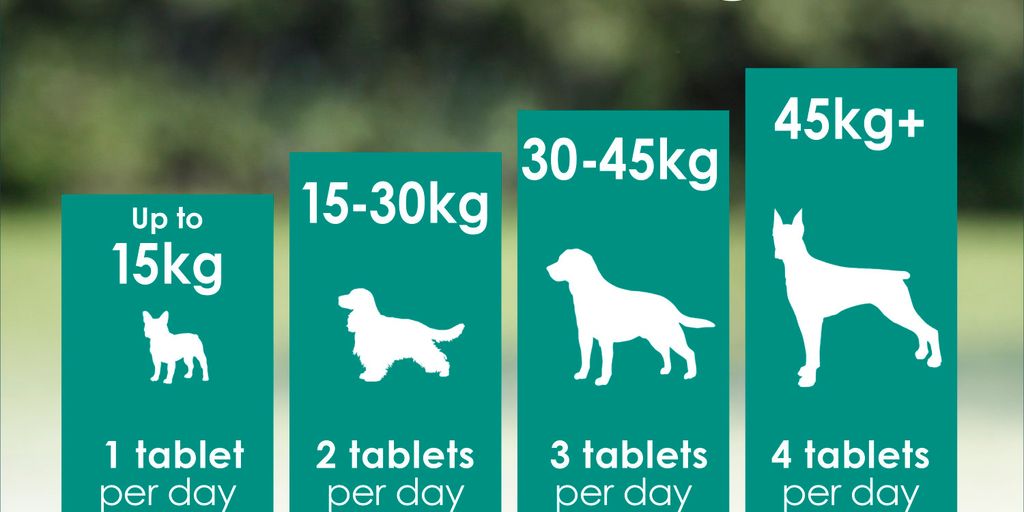 dog joint supplements