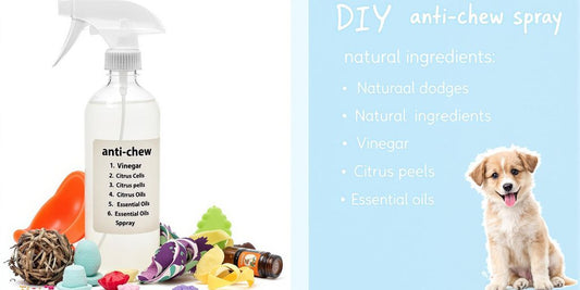 DIY anti-chew spray for dogs with natural ingredients and puppy.