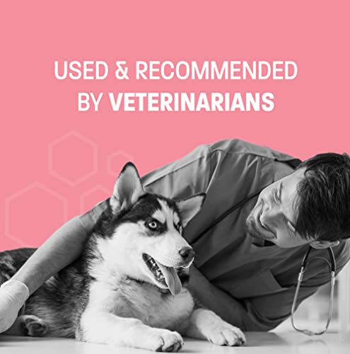 Probiotic Oral Paste for Dogs & Cats - Supports Healthy Digestion
