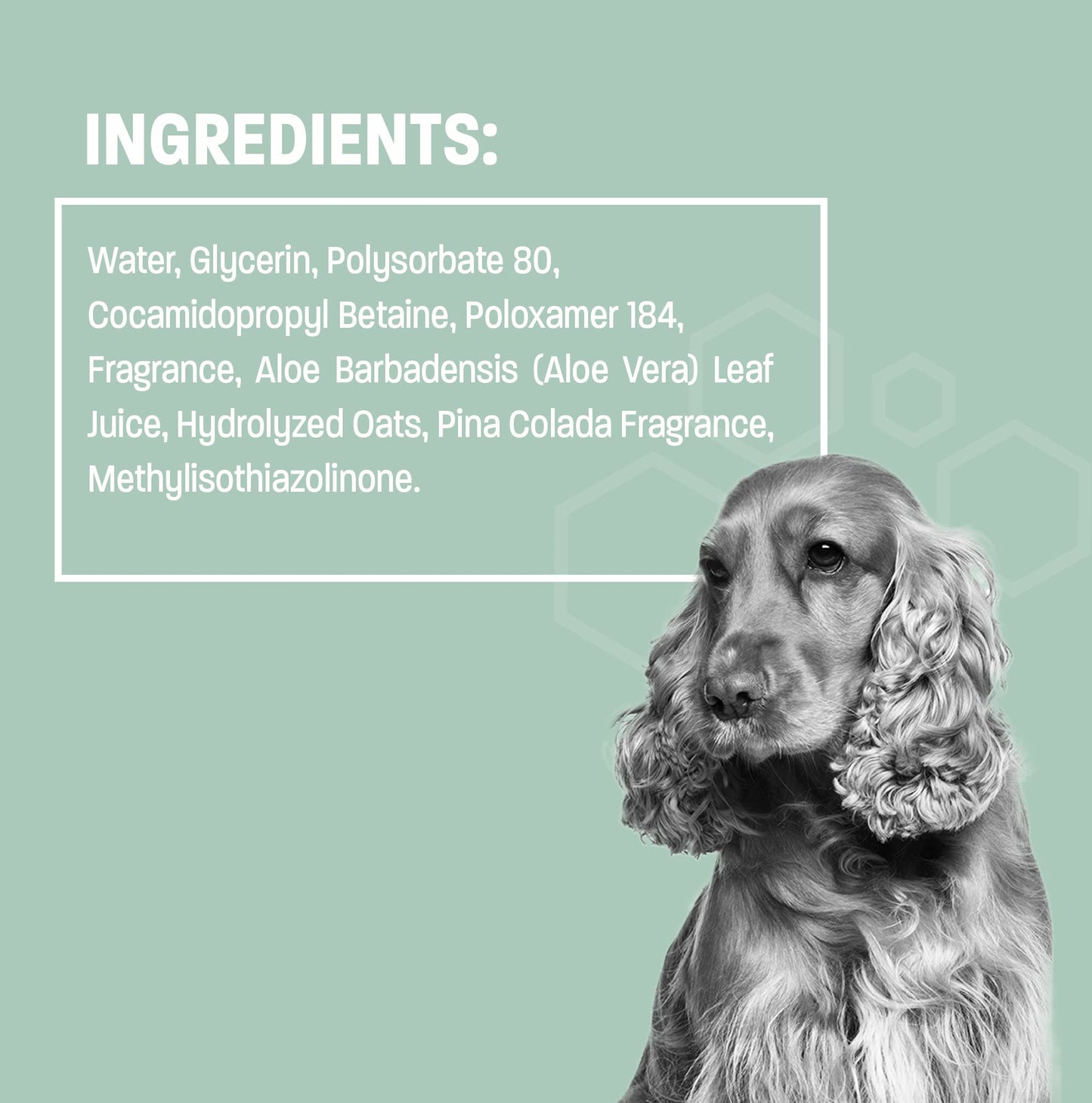 Aloe & Oatmeal Wipes for Cats and Dog