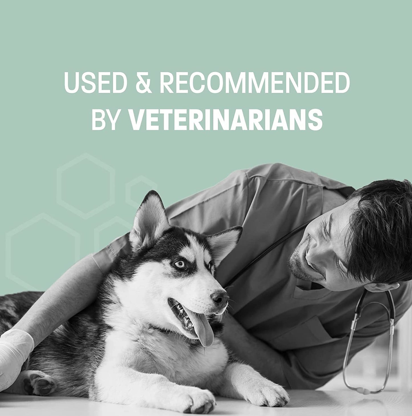 Aloe Oatmeal Shampoo for Dogs - Sensitive Skin Shampoo for Allergies and Itching