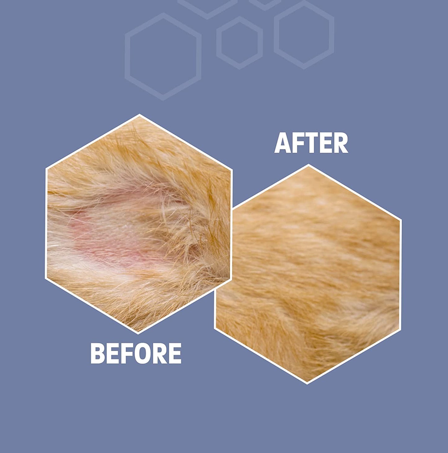 Dog Anti Itch Spray for Dogs and Cats