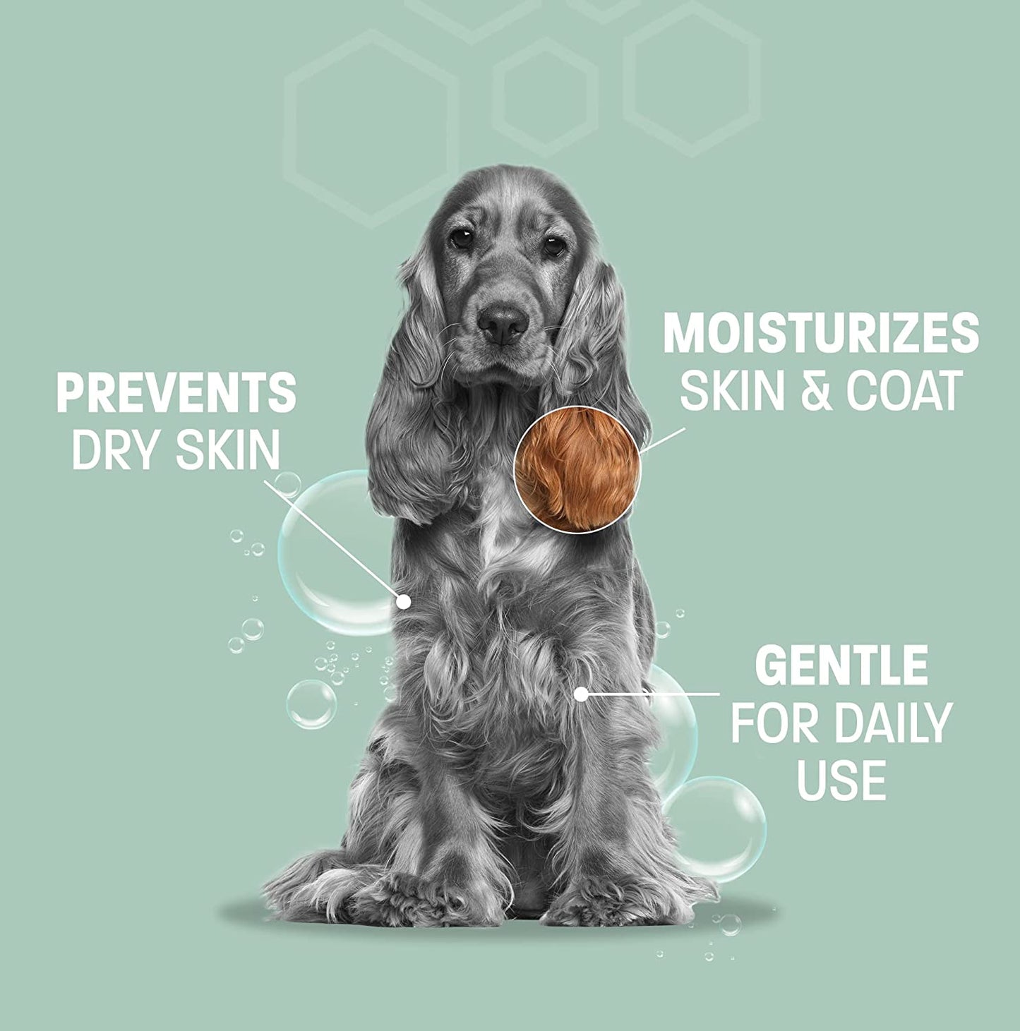 Aloe Oatmeal Shampoo for Dogs - Sensitive Skin Shampoo for Allergies and Itching
