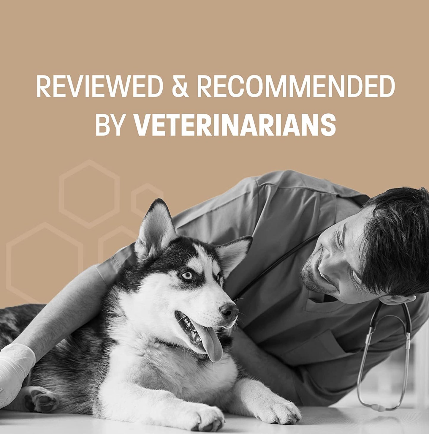 Omega 3 Supplement Fish Oil for Dogs and Cats