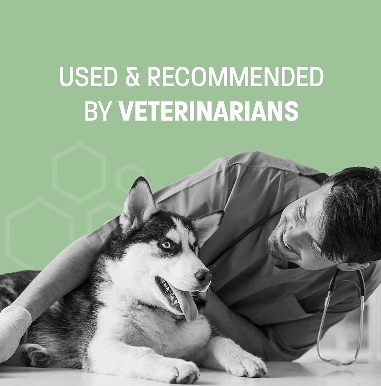 Dental Wipes for Dogs Teeth and Cats