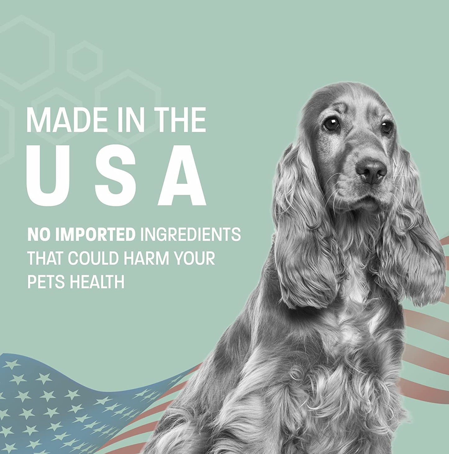 Aloe Oatmeal Shampoo for Dogs - Sensitive Skin Shampoo for Allergies and Itching