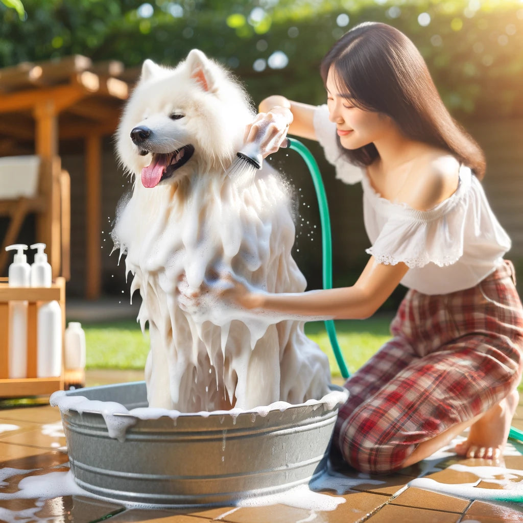 Achieving a Whiter Coat with Dog Shampoo