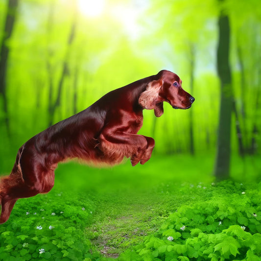 The Best Antifungal Dog Shampoos for Healthy Skin & Coat