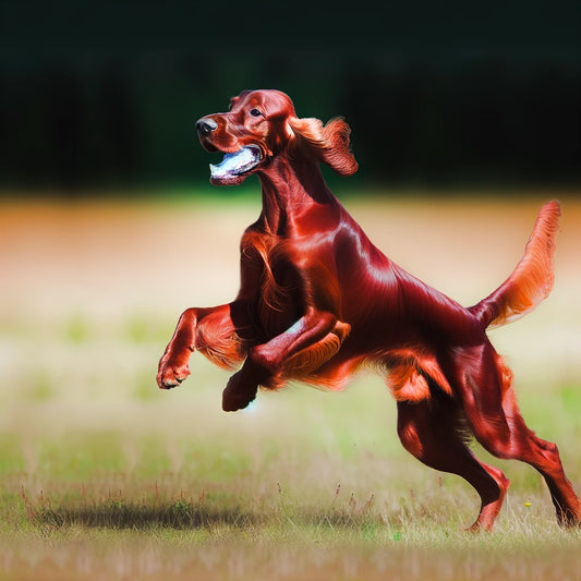 Scent-sational Pooches: Finding the Perfect Dog Cologne