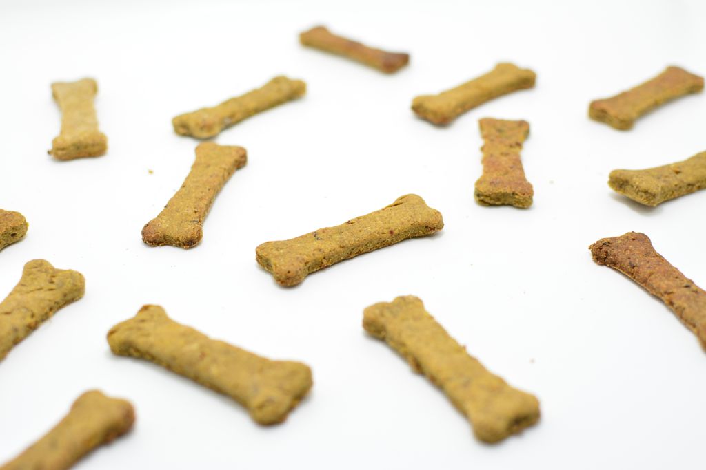 Melatonin Dog Treats: Natural Calming Solutions for Anxious Dogs