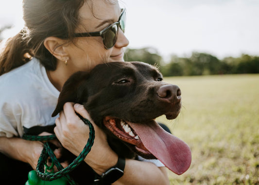 Dog Dental Health I Pet Health Pros