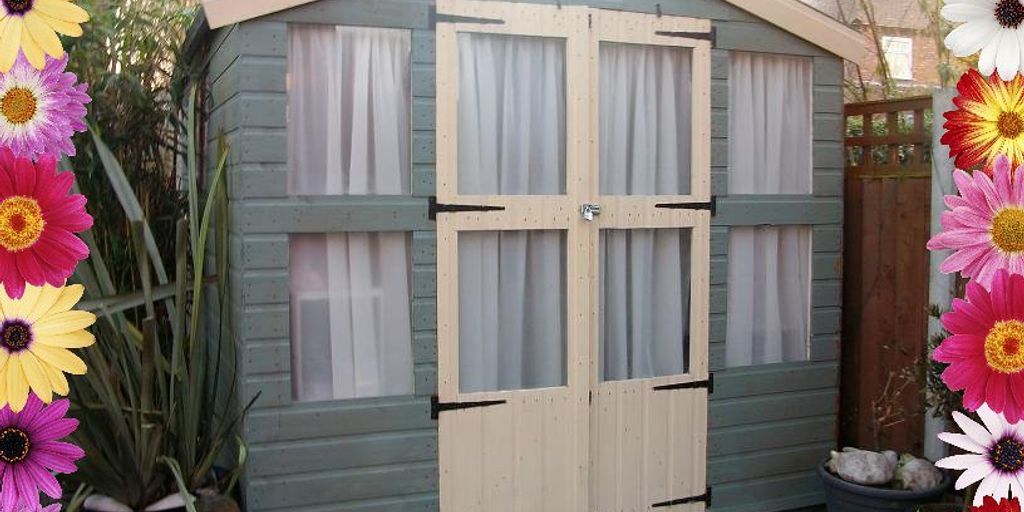 veterinarian grooming dog