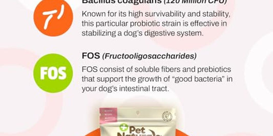 dog probiotics