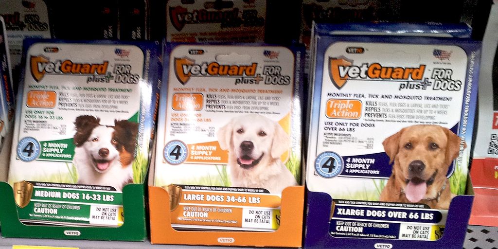 affordable vet clinic