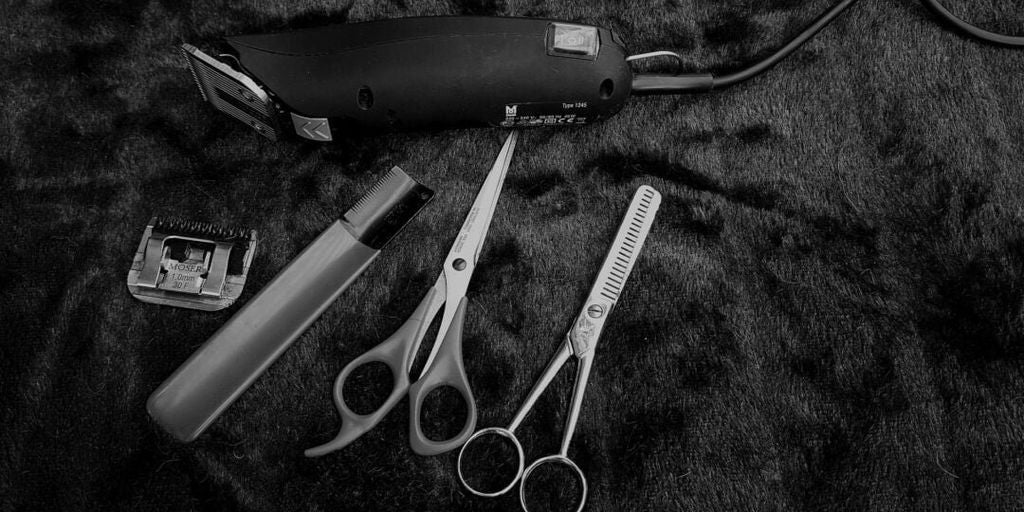 dog grooming