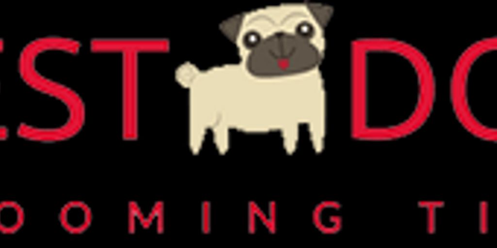 dog grooming