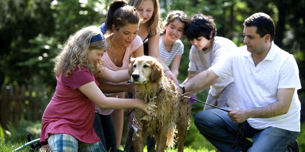 happy pets with veterinarian