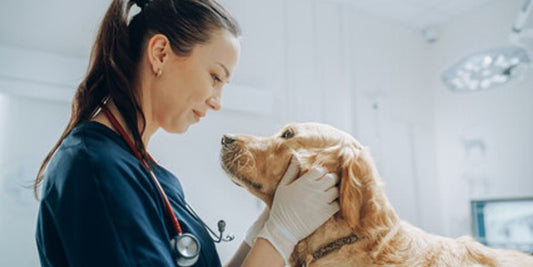 happy pet owner with dog at veterinary clinic