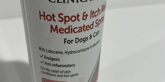 dog with hot spot spray