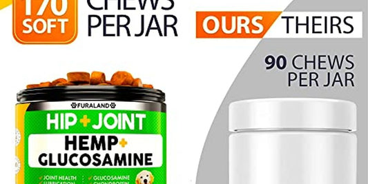 dog joint supplement