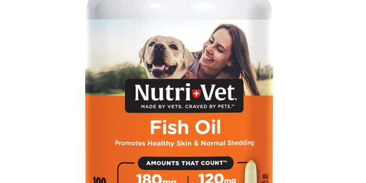 dog with fish oil supplement