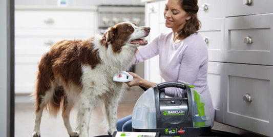 pet grooming and skin care