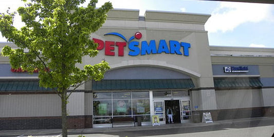 veterinarian with pet wellness plan