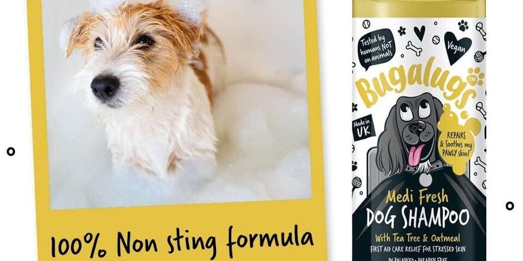 dog shampoo antifungal