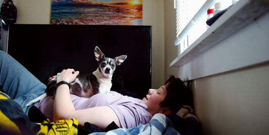 man in black t-shirt lying on bed beside white and black short coated small dog