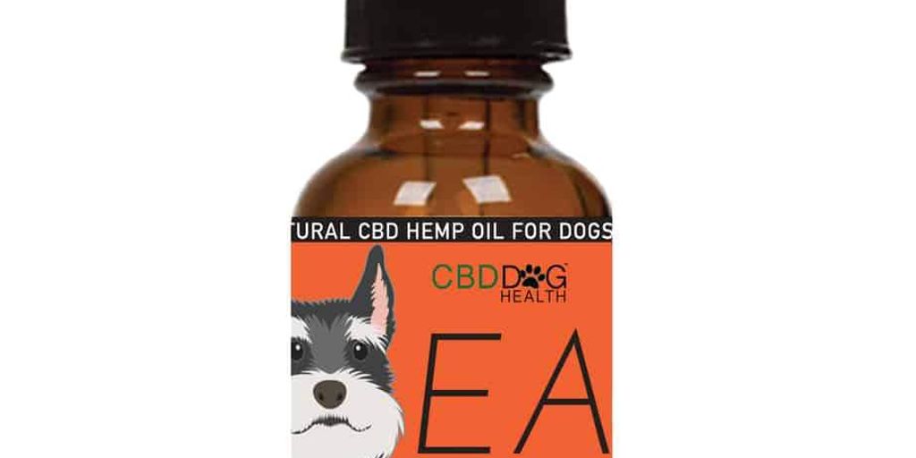 dog with hemp chews