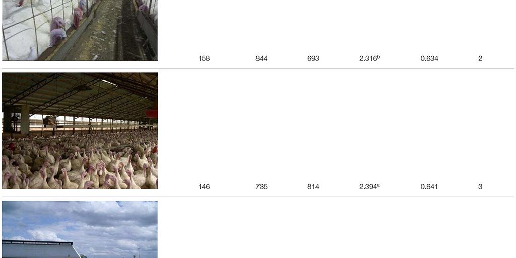 veterinarian wellness plan