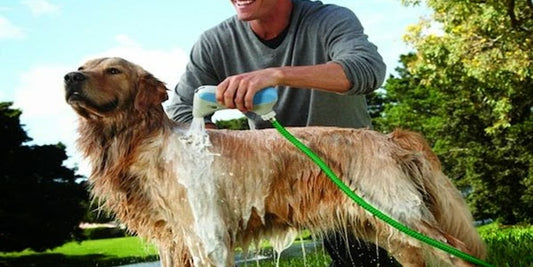 happy pets with popular pet products