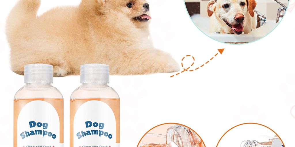 dog shampooing