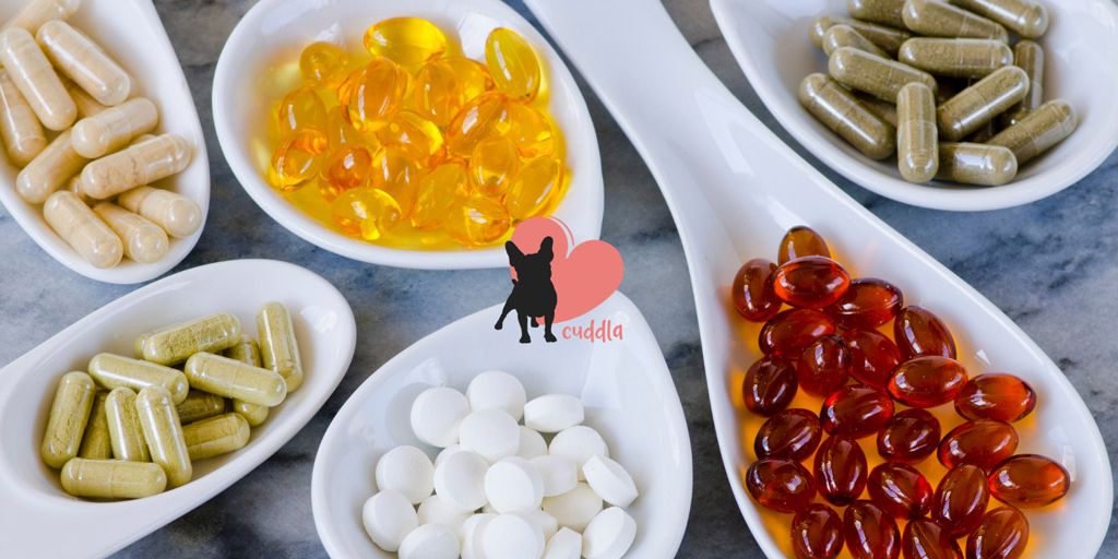 dog health supplements