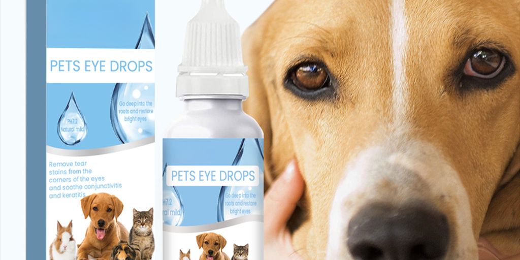 dog antiseptic flush