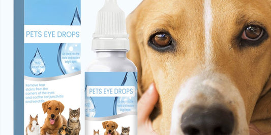 dog antiseptic flush