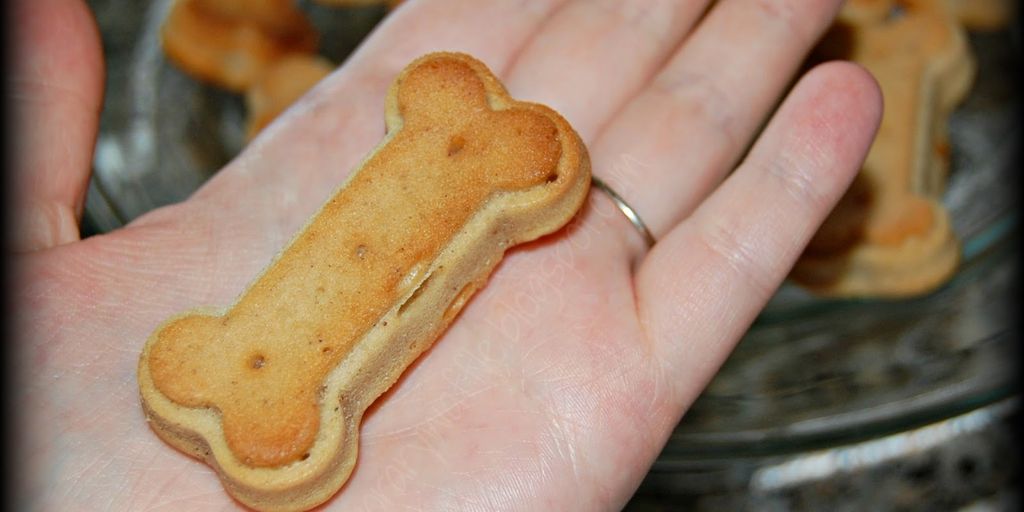 dog treats