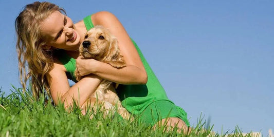 dog receiving supplement treatment from veterinarian