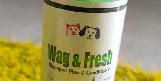 dog shampoo