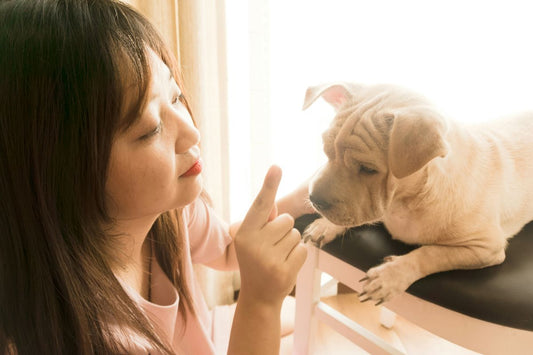 Finding the Top Rated Vet: A Comprehensive Guide to the Best Veterinarian Reviews