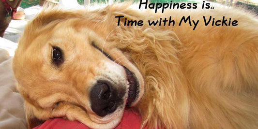 happy pets with branded accessories
