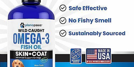 dog with fish oil