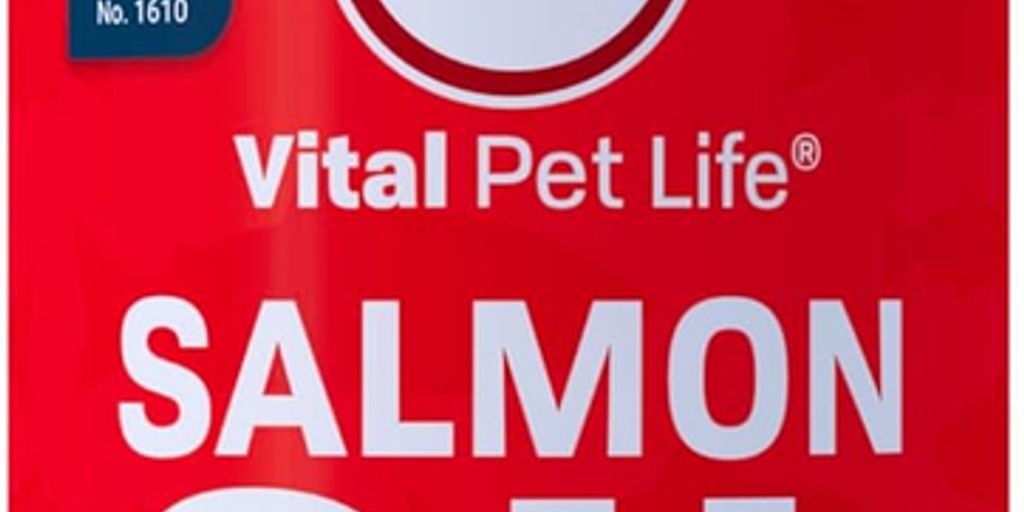 dog with fish oil supplement