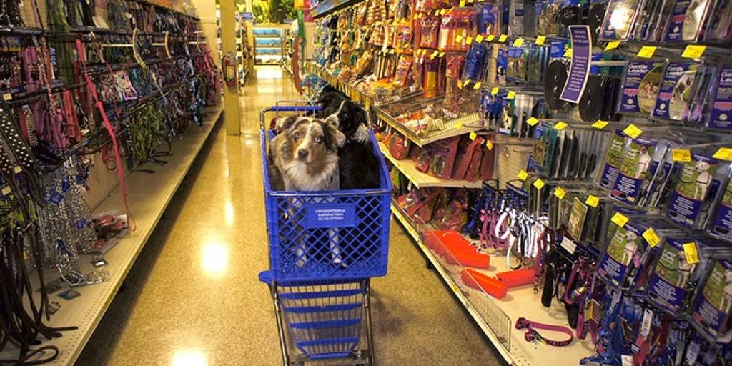 pet products