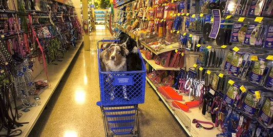 pet products